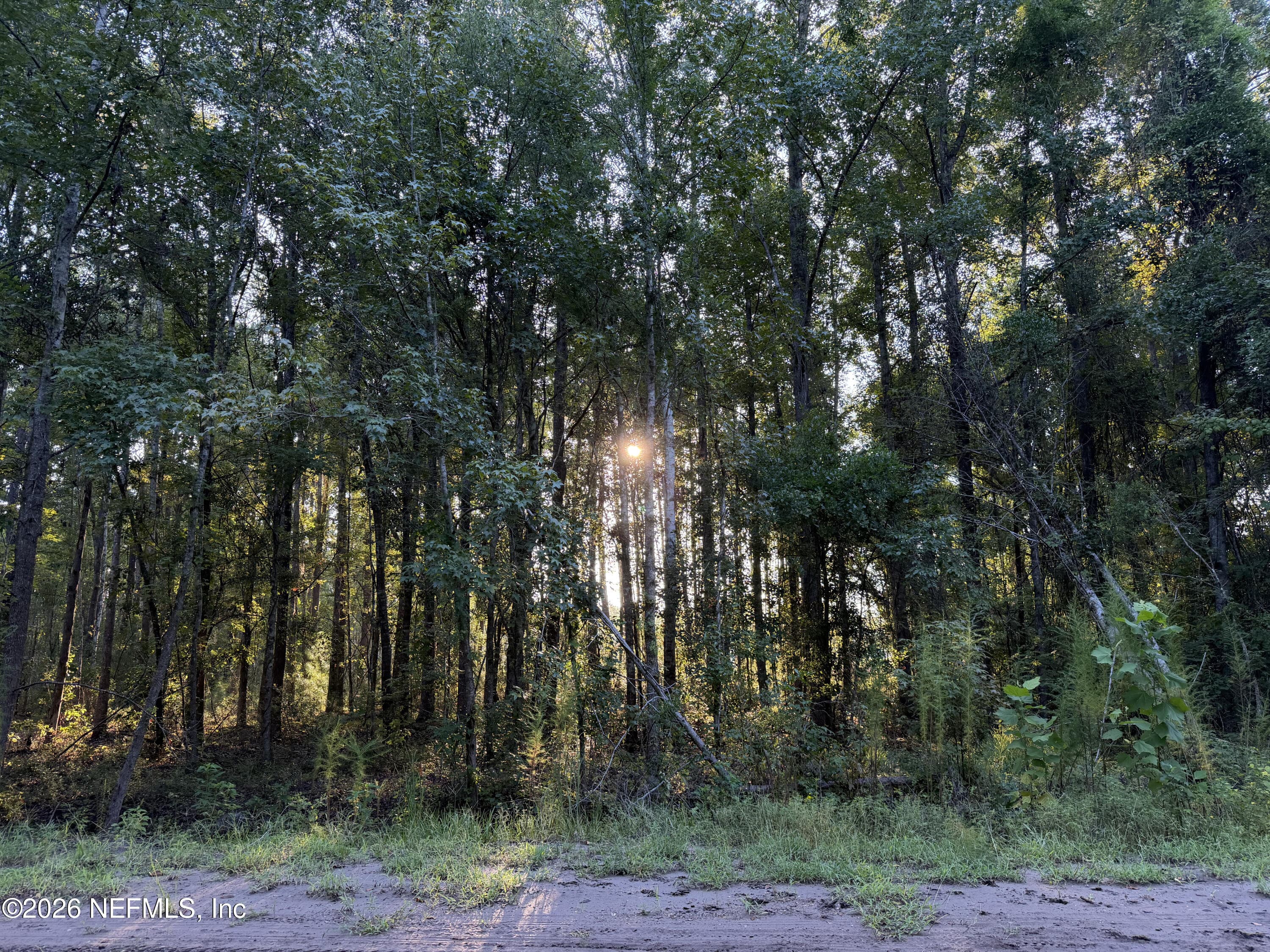 0 LITTLE MAGNOLIA Lane, Callahan, FL 32011, Callahan — photo 2