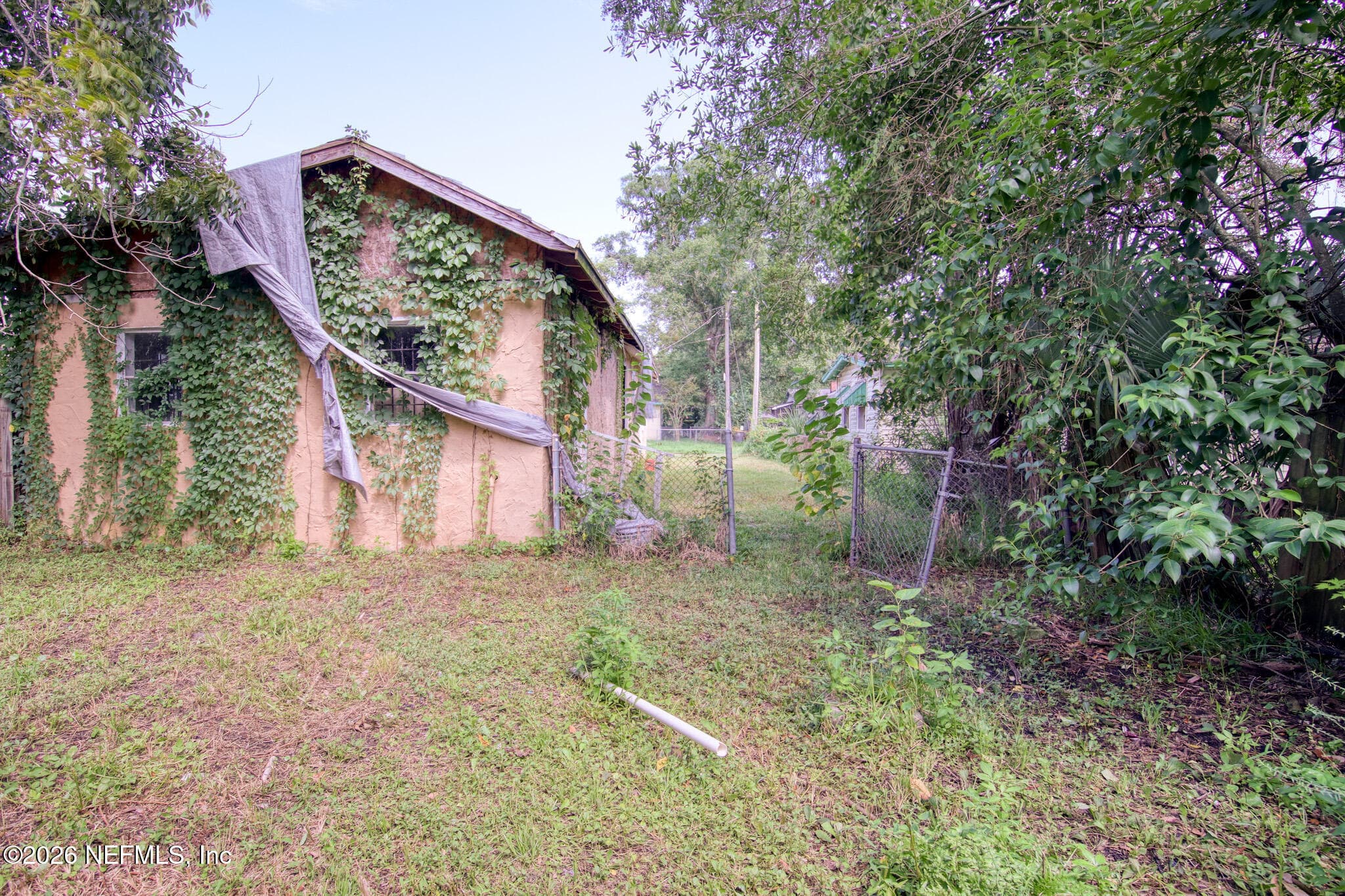 1236 STAFFORD Street, Jacksonville, FL 32209, Jacksonville — photo 3