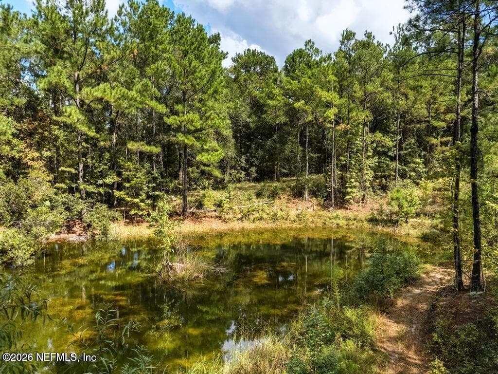 1886 GENTLE BREEZE Road, Middleburg, FL 32068, Middleburg — photo 2