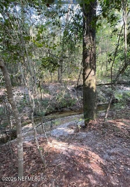 10398 HOLLIE Road, Glen St. Mary, FL 32040, Glen St. Mary — photo 2
