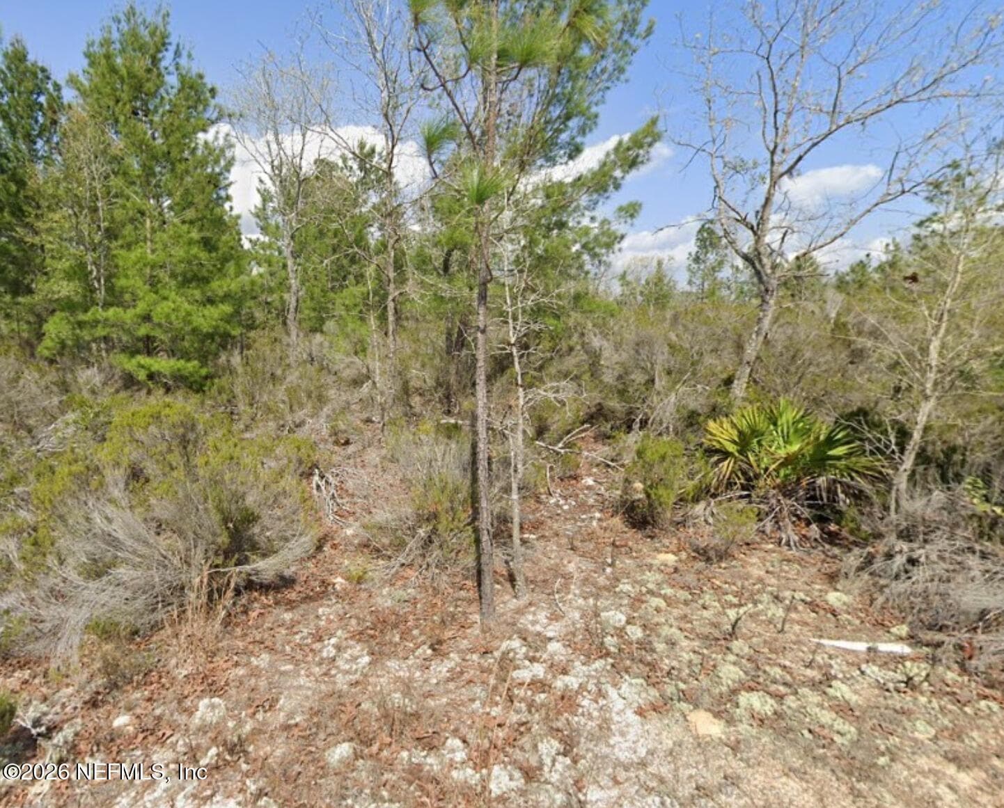 0 SOMERSET Avenue, Interlachen, FL 32148, Interlachen — photo 2