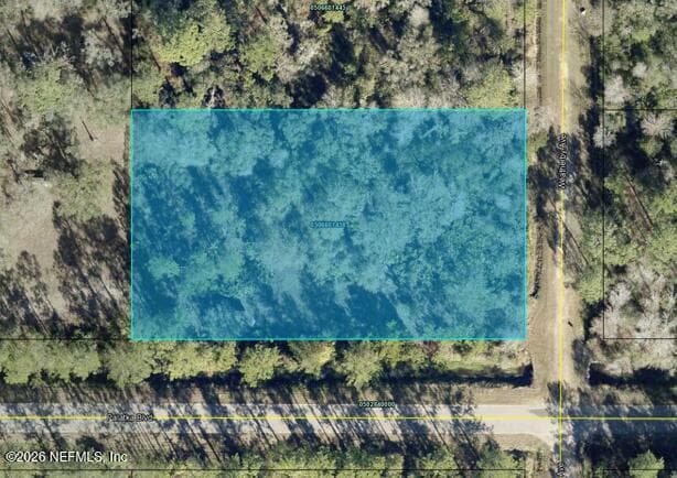 10575 WEATHERBY Avenue, Hastings, FL 32145, Hastings — exterior