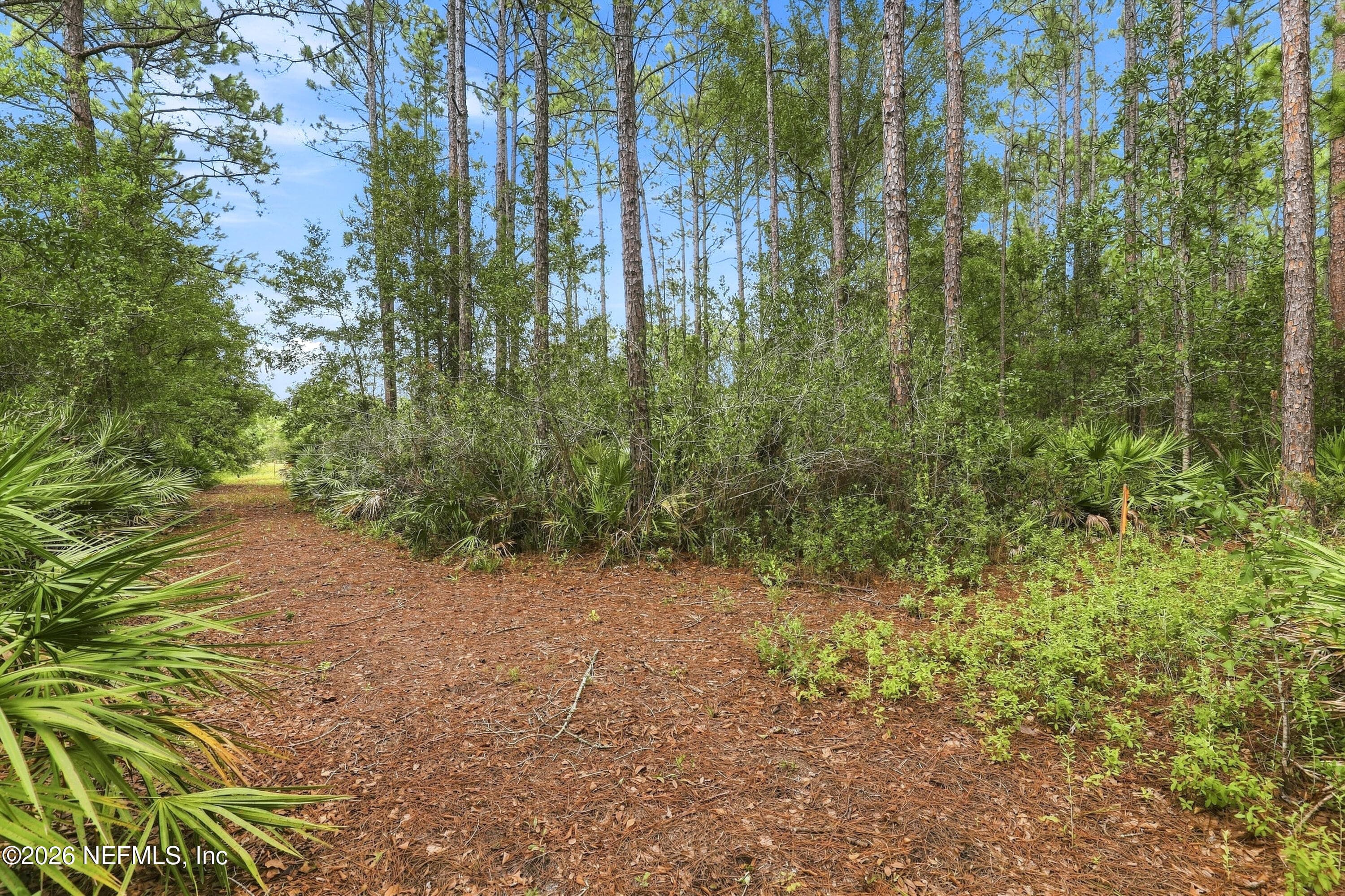 9500 TAYLOR FIELD Road, Jacksonville, FL 32222, Jacksonville — photo 3