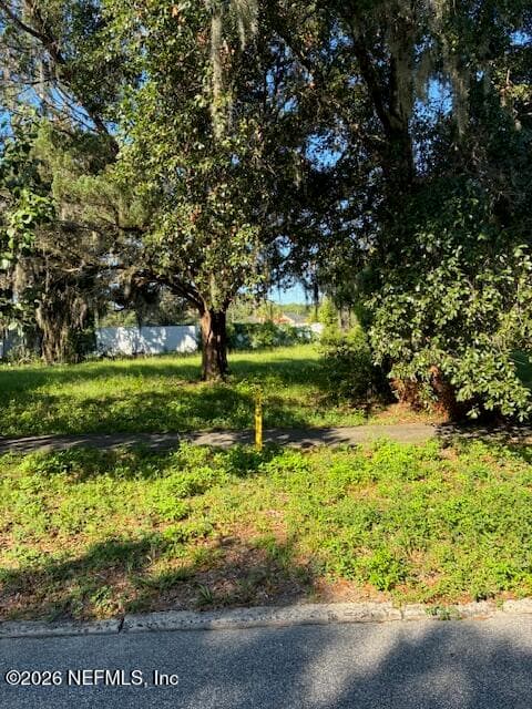 605 N MAGNOLIA Avenue, Green Cove Springs — exterior