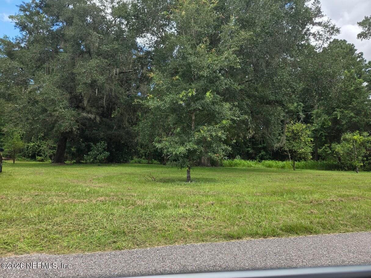 850 COOKS Lane, Green Cove Springs — photo 2