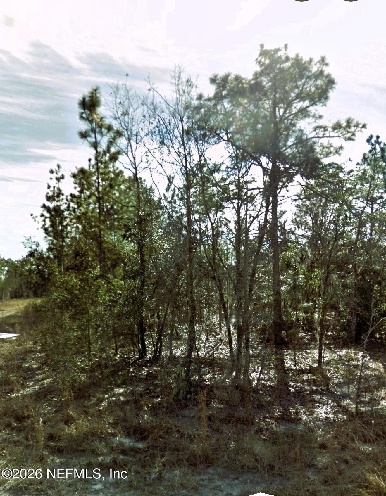 0 NE 3RD Place, Williston — photo 2