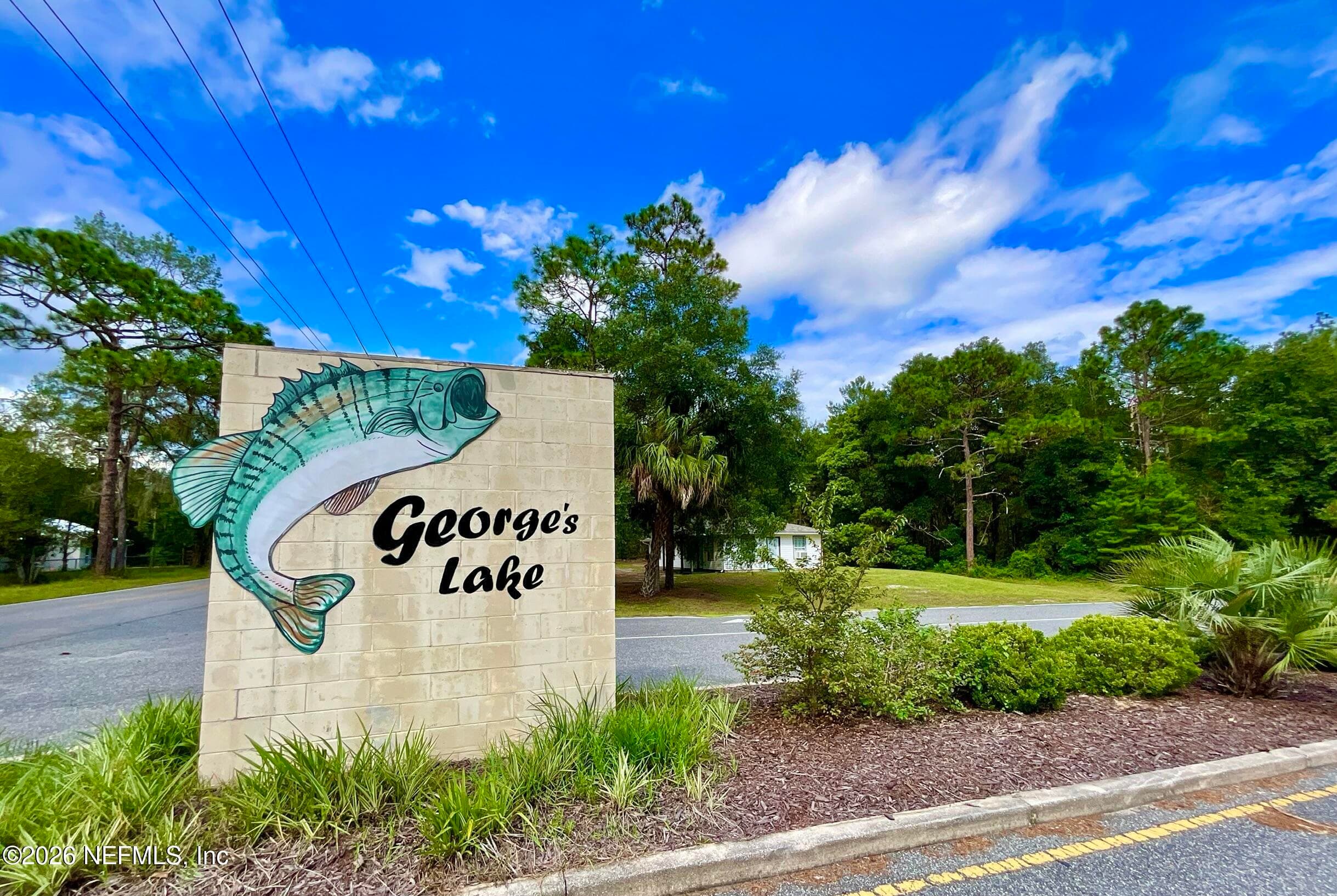 1150 CORAL FARMS Road, Florahome — photo 2