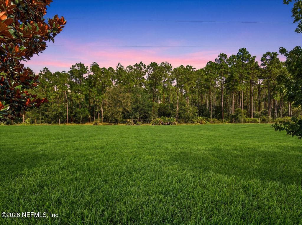 15714 TISONS BLUFF Road, Jacksonville — photo 3