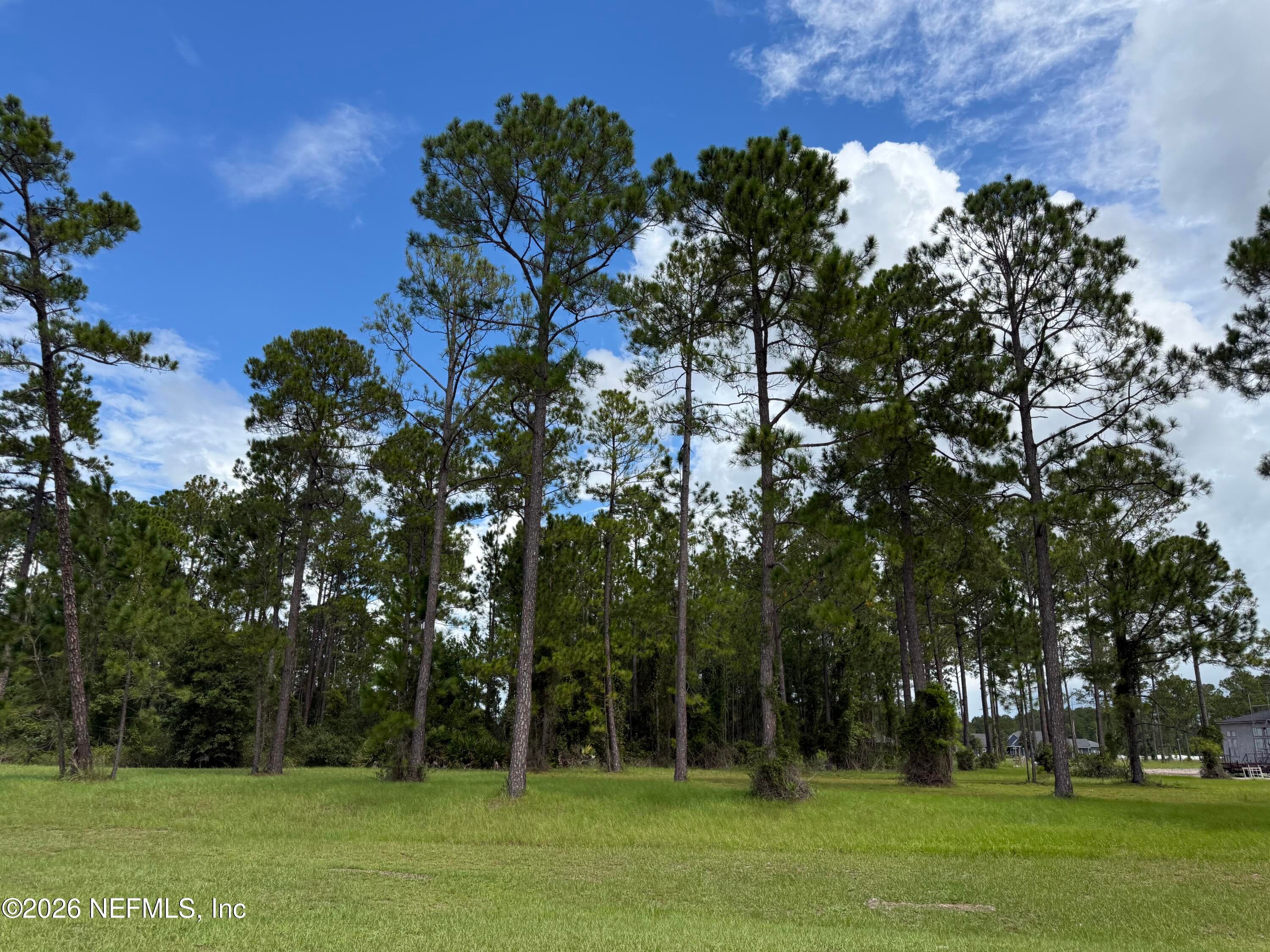 10107 FOX LAKE Court, Jacksonville — photo 2