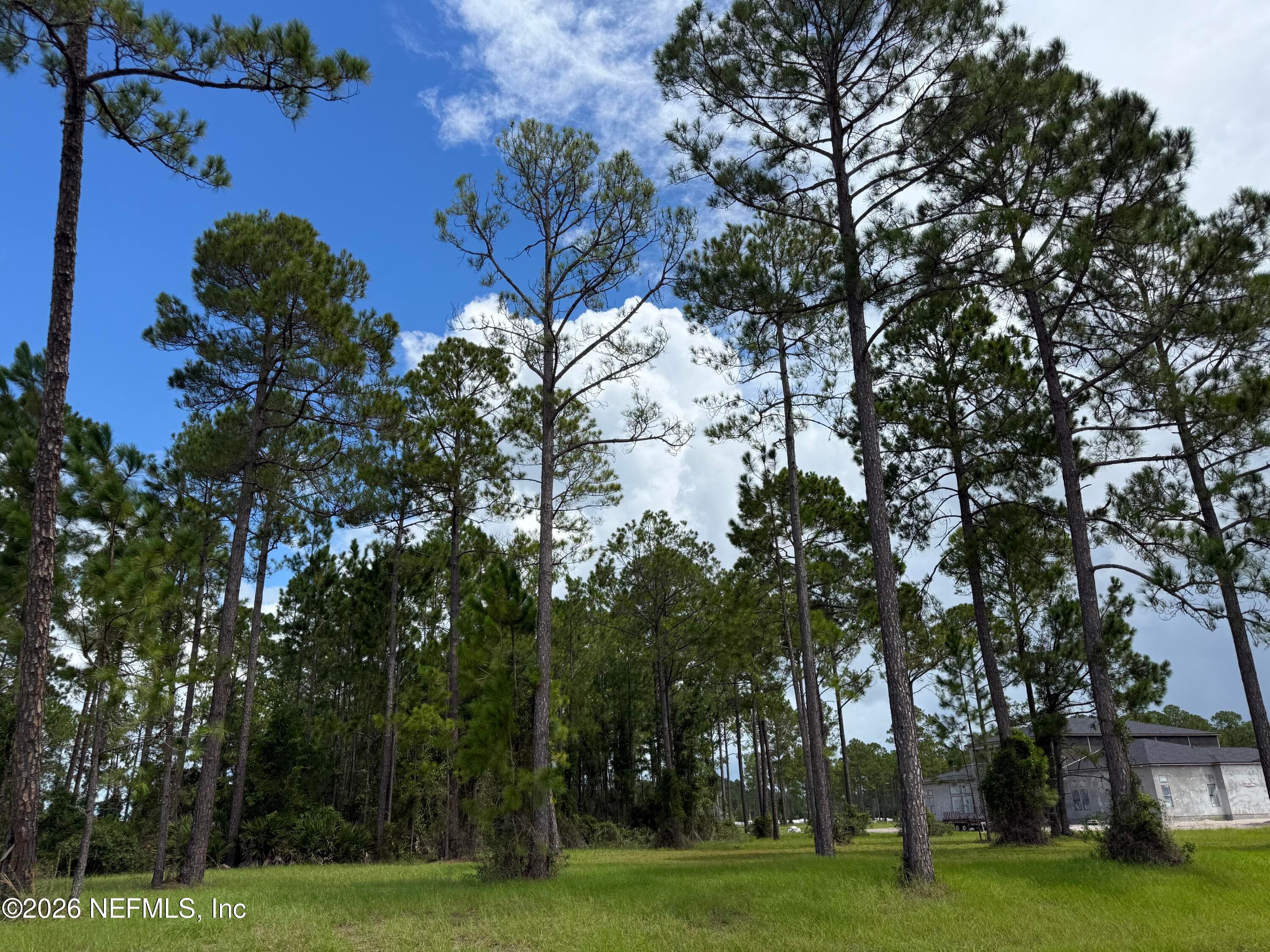 10107 FOX LAKE Court, Jacksonville — photo 3
