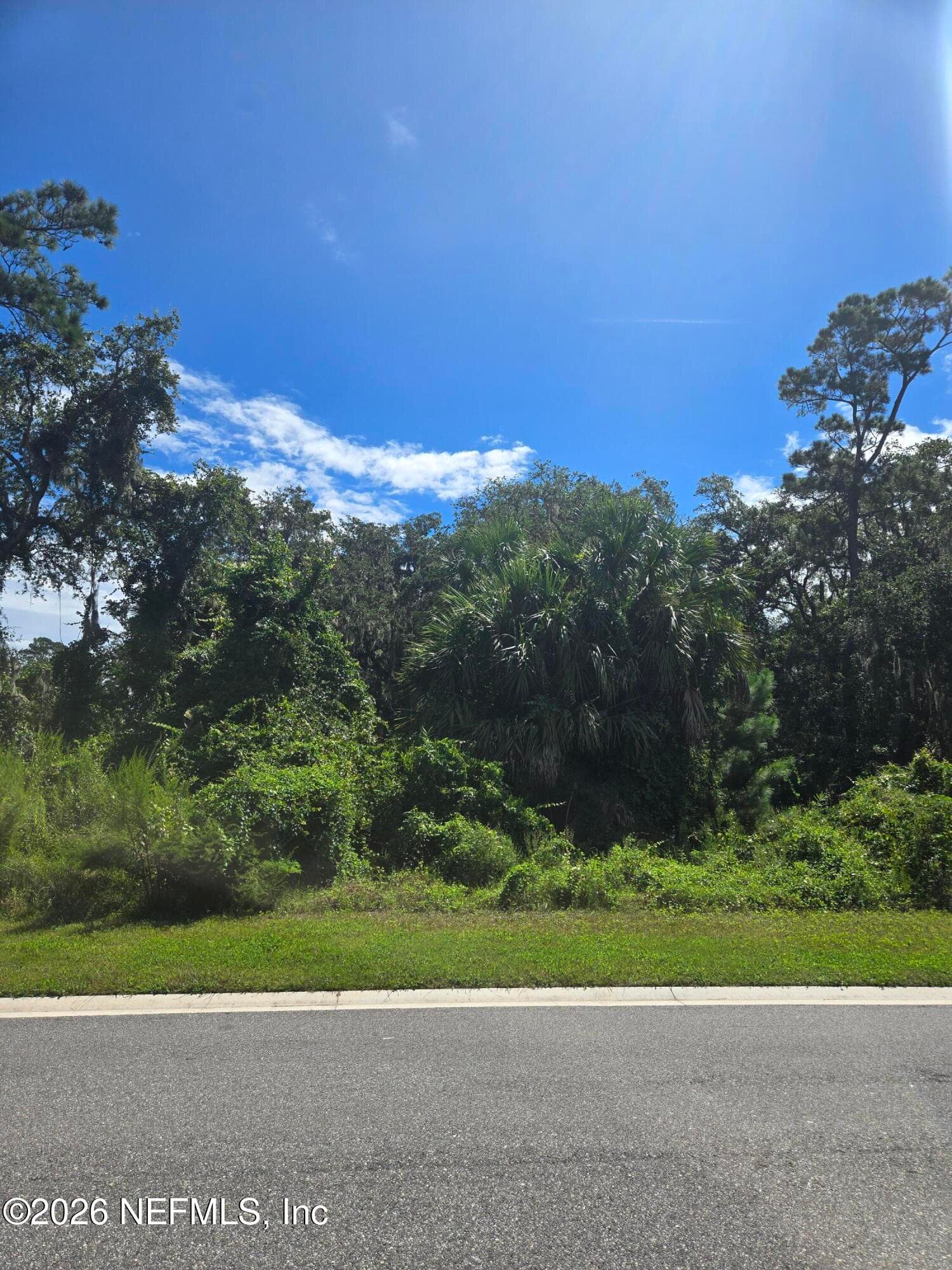 208 CANOPY HALL Drive, St. Augustine — photo 2