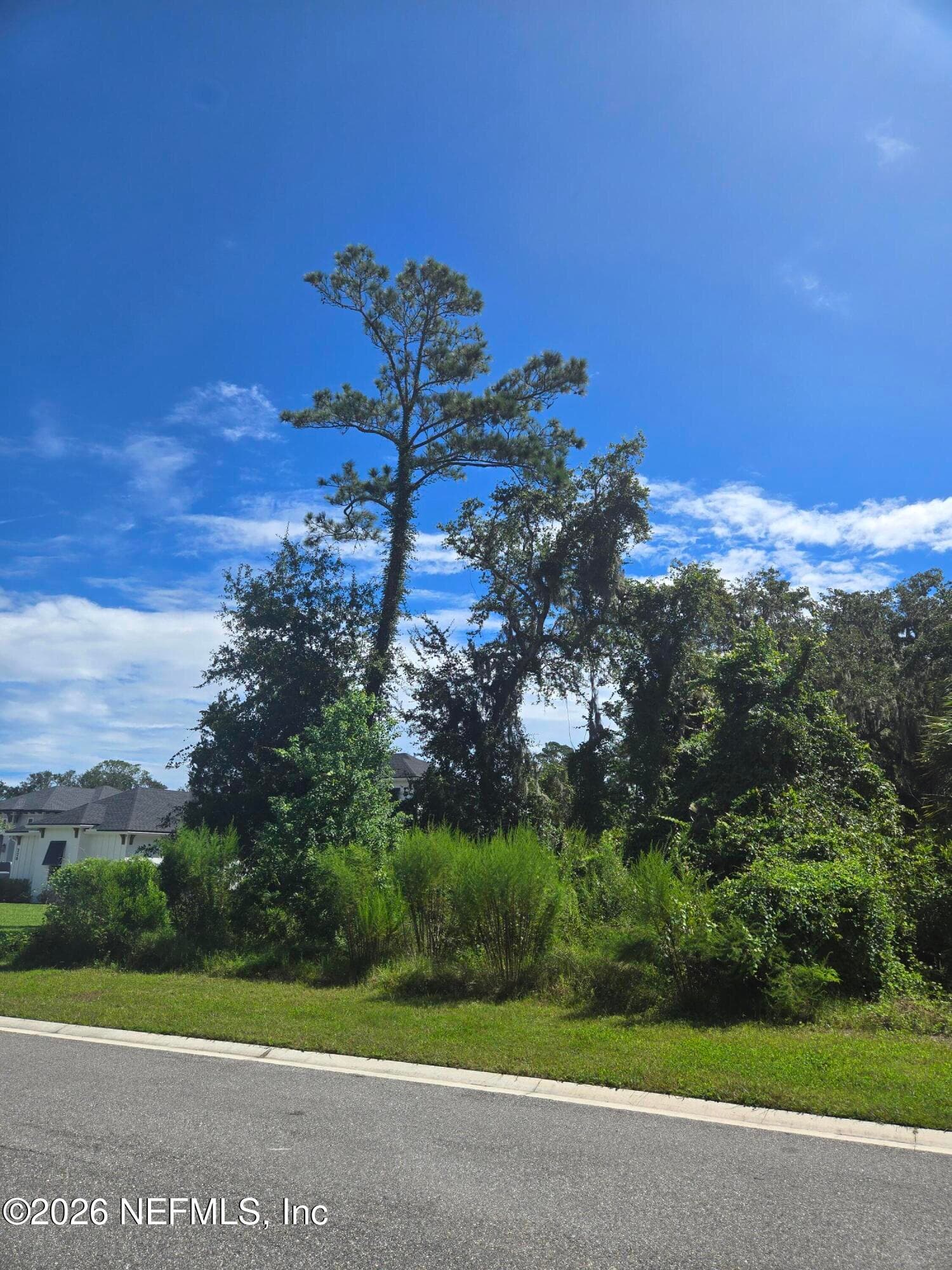 208 CANOPY HALL Drive, St. Augustine — photo 3